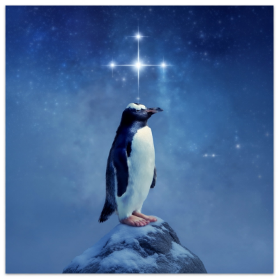 Kwynn X profile pic first ever - penguin on mountain